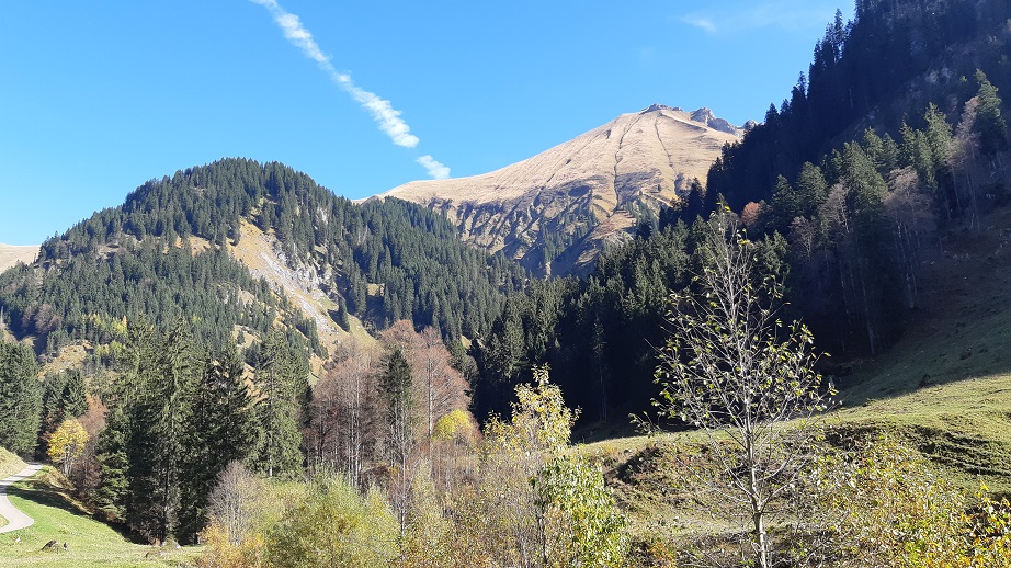 Obermaiselstein 2019 (8)